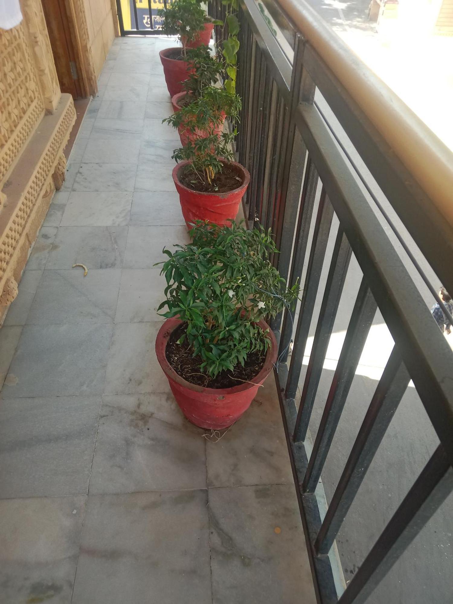 Hotel Neem Haveli Jaisalmer Dış mekan fotoğraf